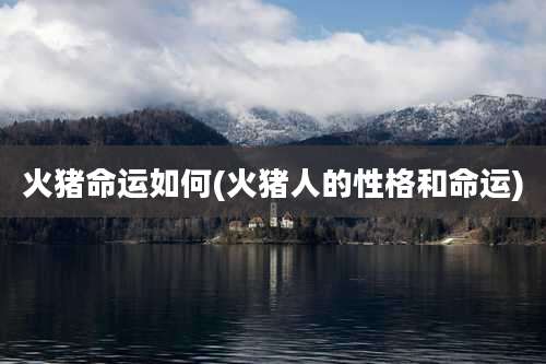 火猪命运如何(火猪人的性格和命运)