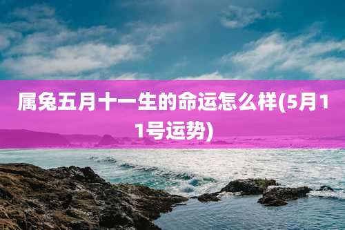 属兔五月十一生的命运怎么样(5月11号运势)