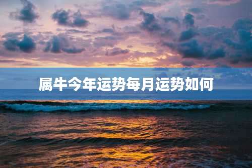 属牛今年运势每月运势如何