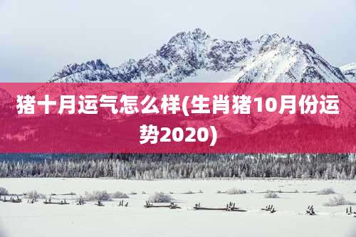 猪十月运气怎么样(生肖猪10月份运势2020)