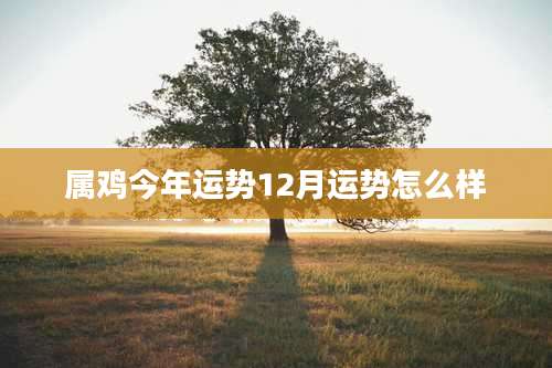 属鸡今年运势12月运势怎么样