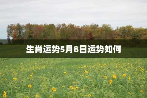 生肖运势5月8日运势如何