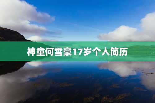 神童何雪豪17岁个人简历