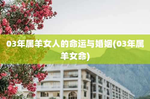 03年属羊女人的命运与婚姻(03年属羊女命)