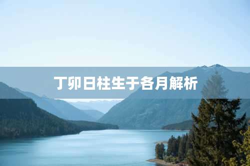 丁卯日柱生于各月解析