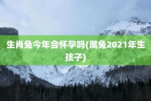 生肖兔今年会怀孕吗(属兔2021年生孩子)