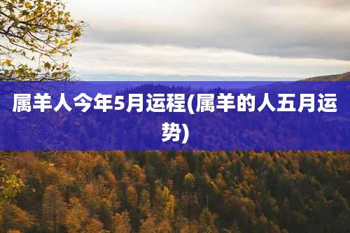 属羊人今年5月运程(属羊的人五月运势)