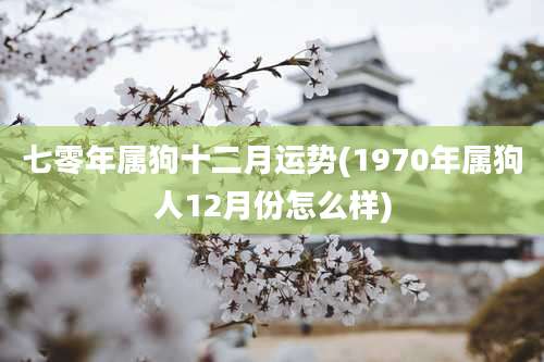 七零年属狗十二月运势(1970年属狗人12月份怎么样)