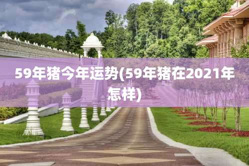 59年猪今年运势(59年猪在2021年怎样)