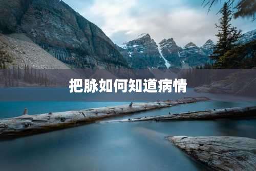 把脉如何知道病情