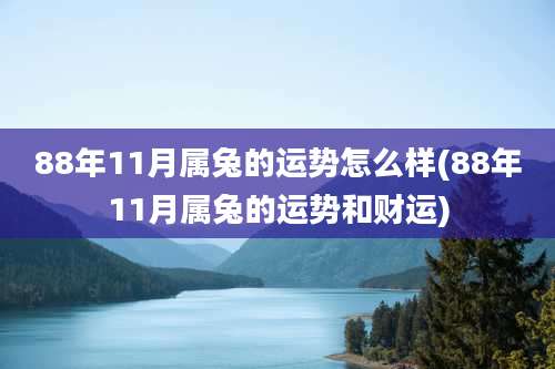 88年11月属兔的运势怎么样(88年11月属兔的运势和财运)