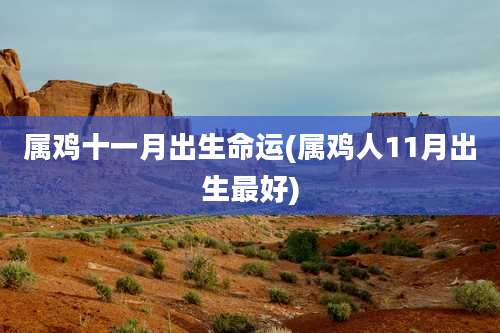 属鸡十一月出生命运(属鸡人11月出生最好)