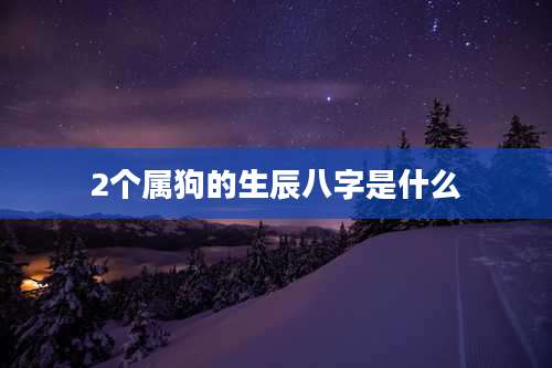 2个属狗的生辰八字是什么