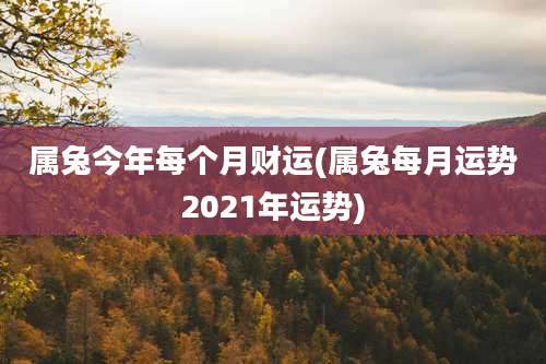 属兔今年每个月财运(属兔每月运势2021年运势)
