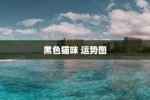 黑色猫咪 运势图