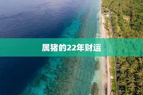 属猪的22年财运