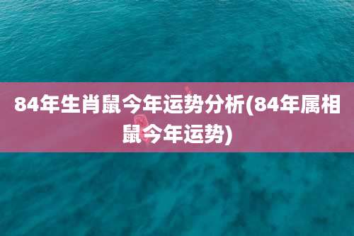 84年生肖鼠今年运势分析(84年属相鼠今年运势)