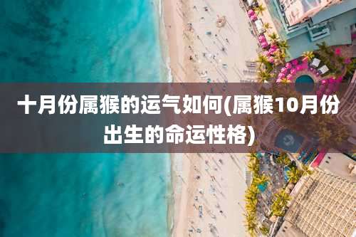 十月份属猴的运气如何(属猴10月份出生的命运性格)