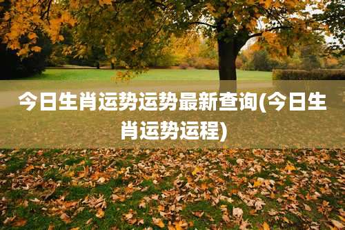 今日生肖运势运势最新查询(今日生肖运势运程)