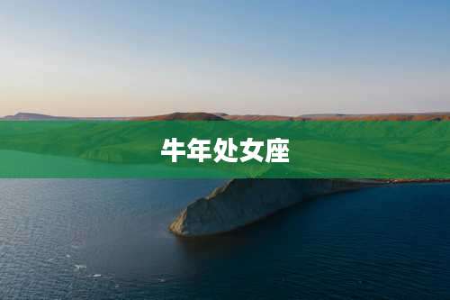 牛年处女座