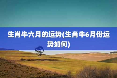 生肖牛六月的运势(生肖牛6月份运势如何)