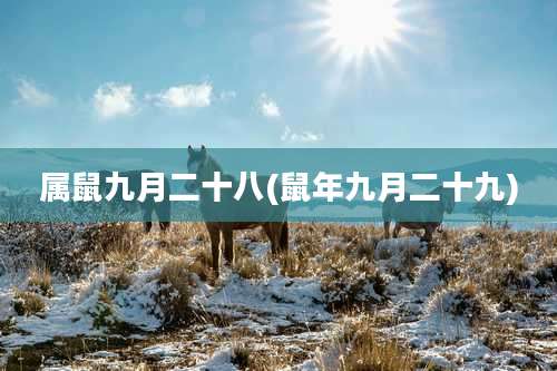 属鼠九月二十八(鼠年九月二十九)