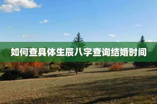 如何查具体生辰八字查询结婚时间