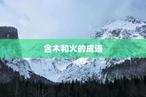 含木和火的成语