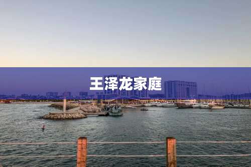 王泽龙家庭