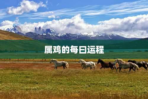 属鸡的每曰运程