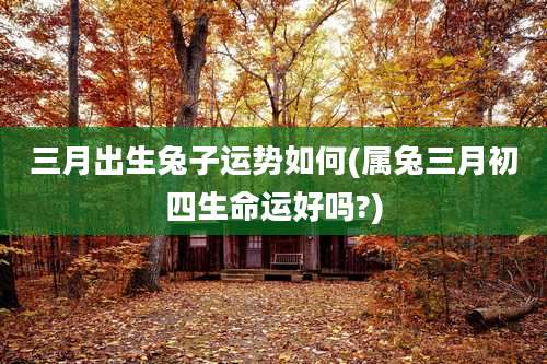 三月出生兔子运势如何(属兔三月初四生命运好吗?)