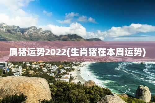 属猪运势2022(生肖猪在本周运势)