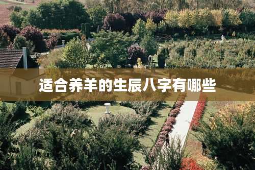 适合养羊的生辰八字有哪些