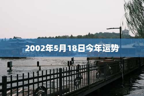 2002年5月18日今年运势
