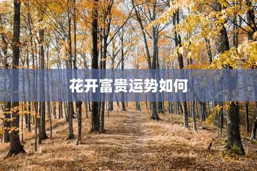 花开富贵运势如何