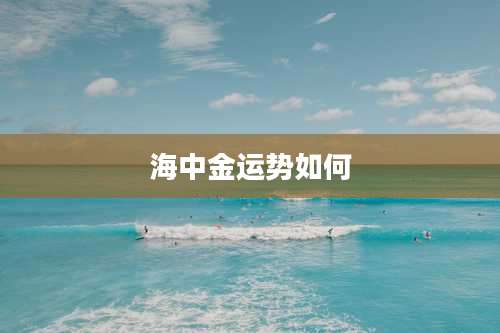 海中金运势如何