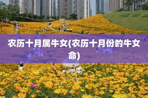 农历十月属牛女(农历十月份的牛女命)