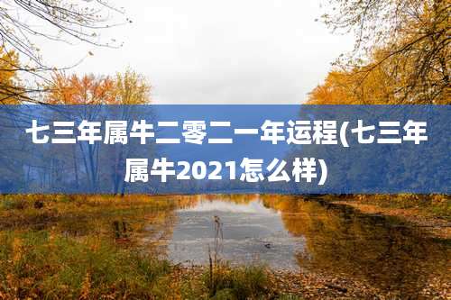 七三年属牛二零二一年运程(七三年属牛2021怎么样)