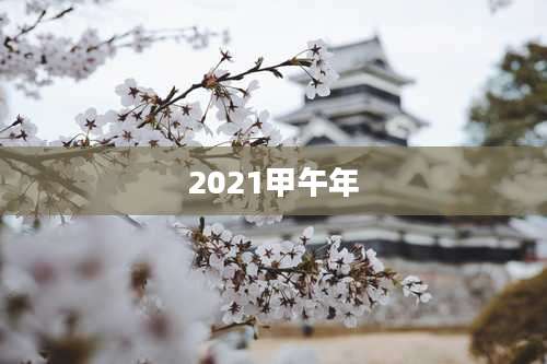 2021甲午年