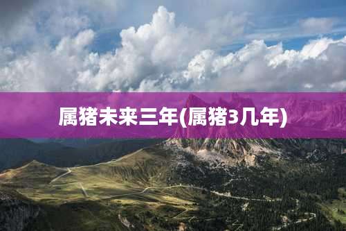 属猪未来三年(属猪3几年)