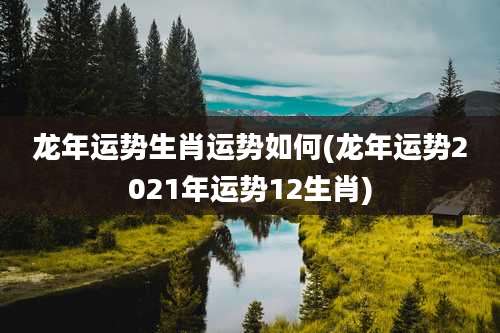 龙年运势生肖运势如何(龙年运势2021年运势12生肖)