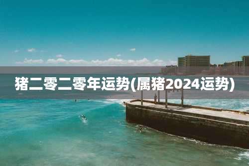 猪二零二零年运势(属猪2024运势)