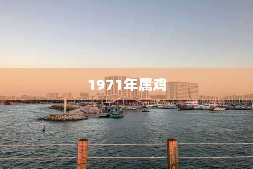 1971年属鸡
