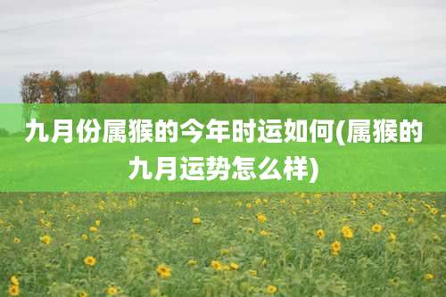 九月份属猴的今年时运如何(属猴的九月运势怎么样)