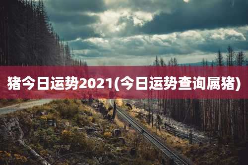 猪今日运势2021(今日运势查询属猪)