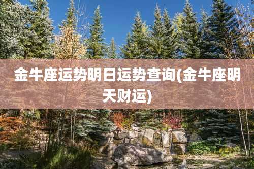 金牛座运势明日运势查询(金牛座明天财运)