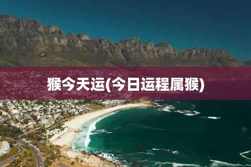 猴今天运(今日运程属猴)