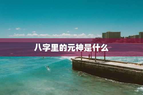 八字里的元神是什么