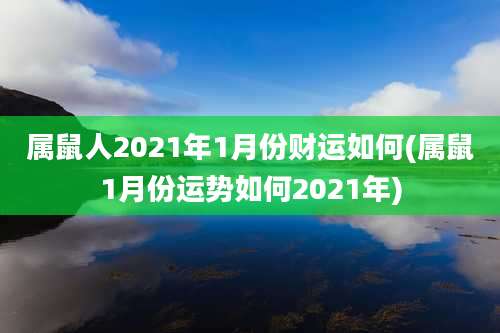 属鼠人2021年1月份财运如何(属鼠1月份运势如何2021年)