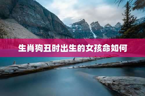 生肖狗丑时出生的女孩命如何